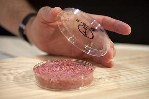 “人造肉”熱潮，未來(lái)將替代60%肉制品？