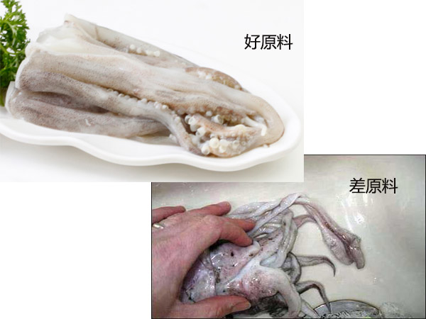 魷魚原料對比圖