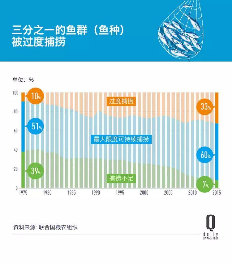 1/3 的魚類正被人過度捕撈，而同時撈上來的又有 1/3 被丟棄