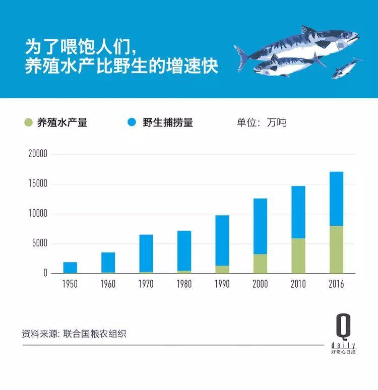 1/3 的魚類正被人過度捕撈，而同時撈上來的又有 1/3 被丟棄