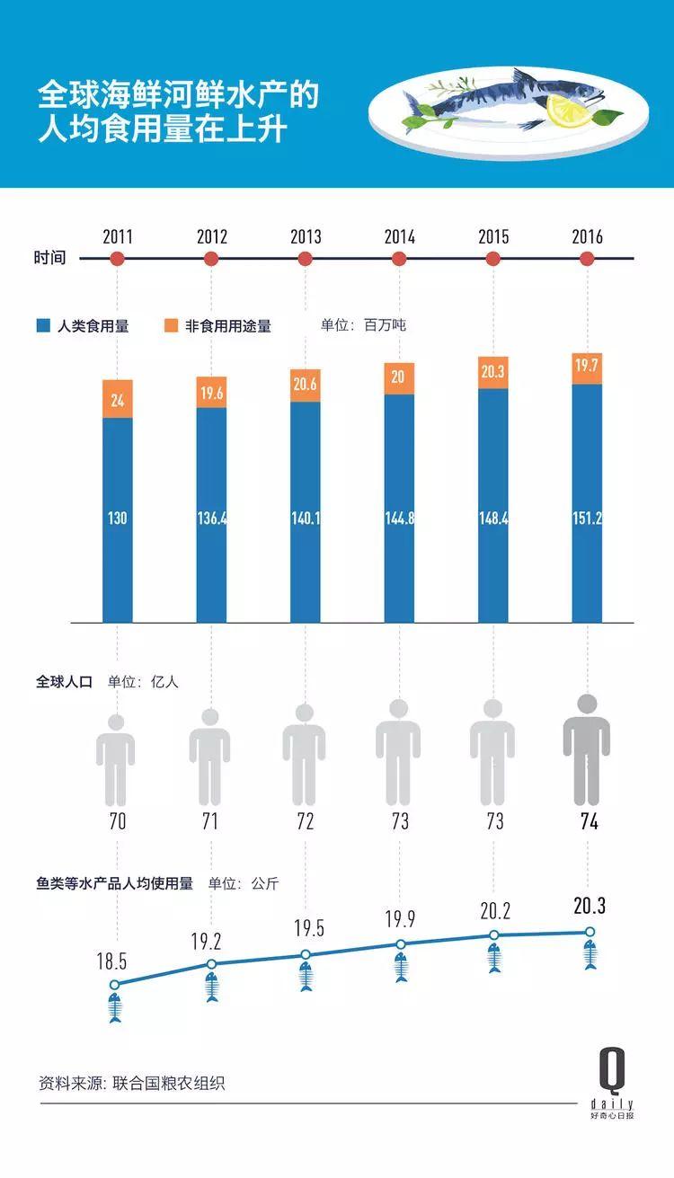 1/3 的魚類正被人過度捕撈，而同時撈上來的又有 1/3 被丟棄