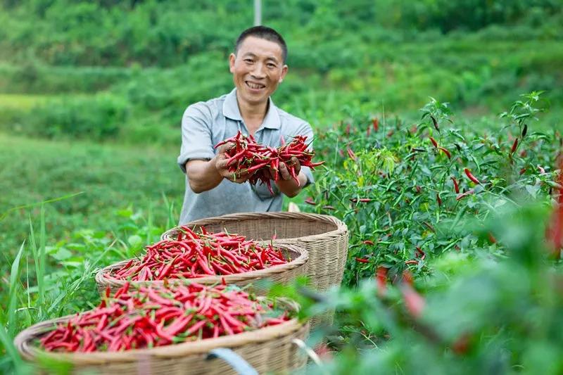 食品安全問(wèn)題頻發(fā)，這家火鍋餐企憑啥突出重圍？